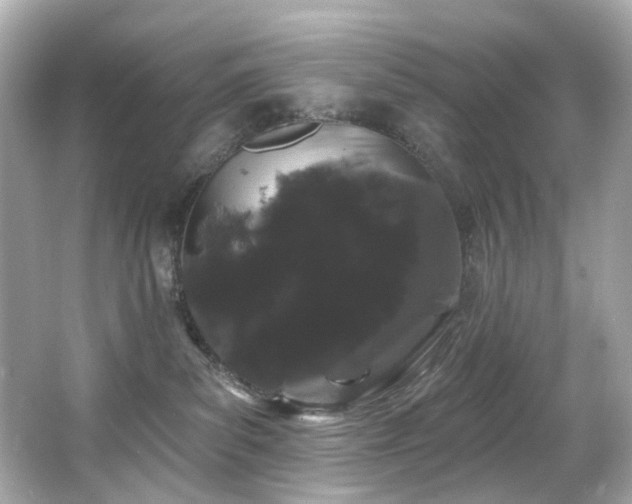 X0000066090139200603101216