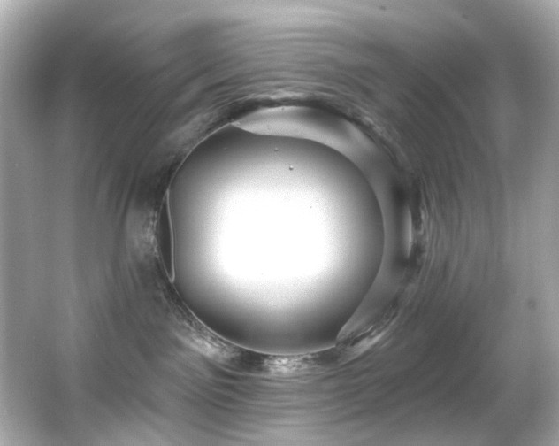 X0000066090141200603101216