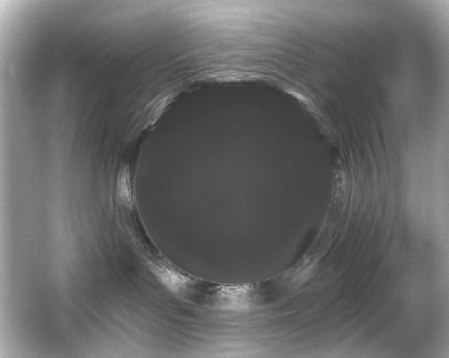 X0000066090143200603101216