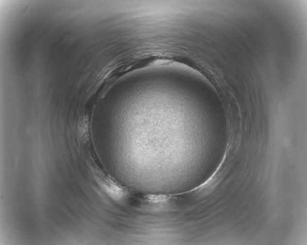 X0000066090144200603101216