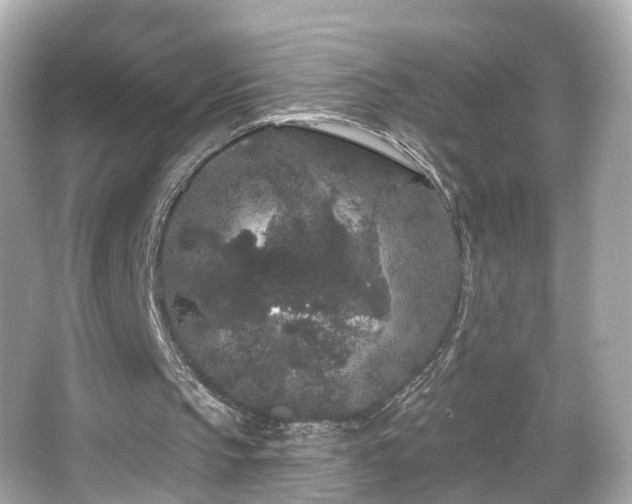 X0000066090145200603101215