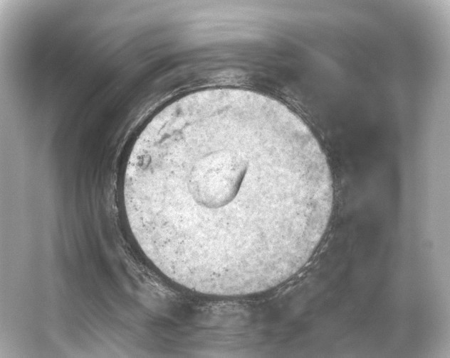 X0000066090146200603101215