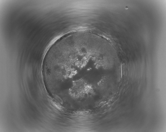 X0000066090147200603101215