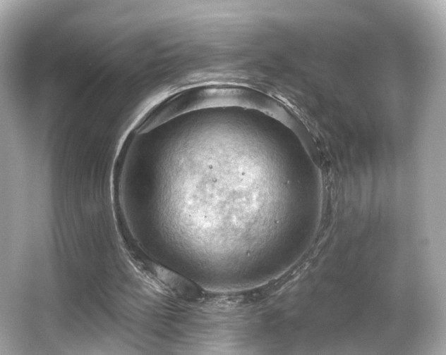 X0000066090148200603101215