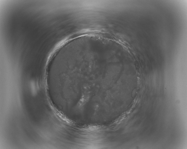 X0000066090149200603101215