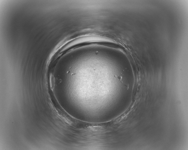 X0000066090150200603101215