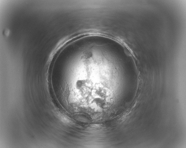 X0000066090151200603101215