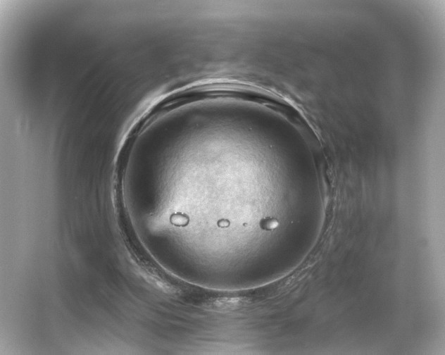 X0000066090152200603101215