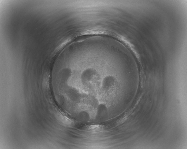 X0000066090153200603101215