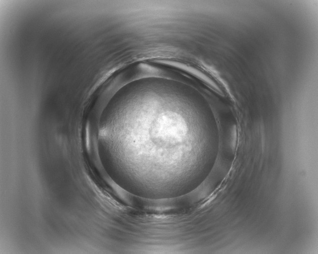 X0000066090154200603101215