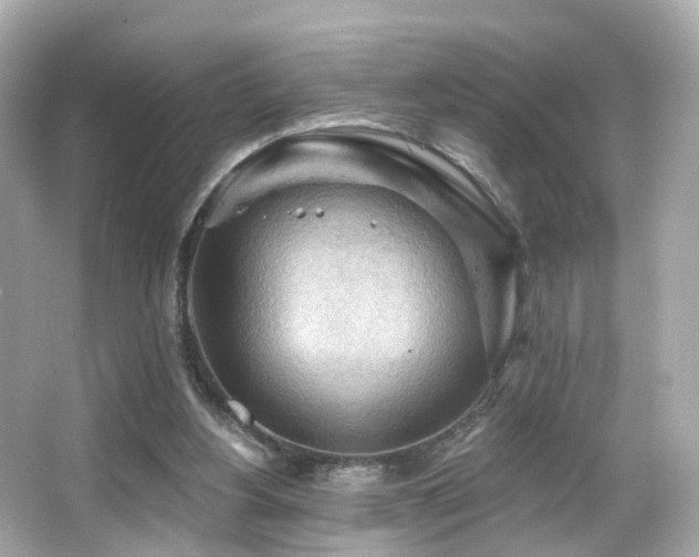 X0000066090156200603101215