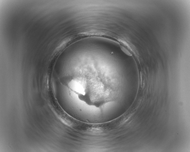 X0000066090157200603101215