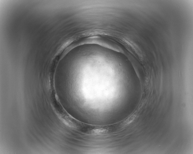 X0000066090158200603101215