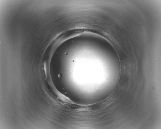 X0000066090160200603101215