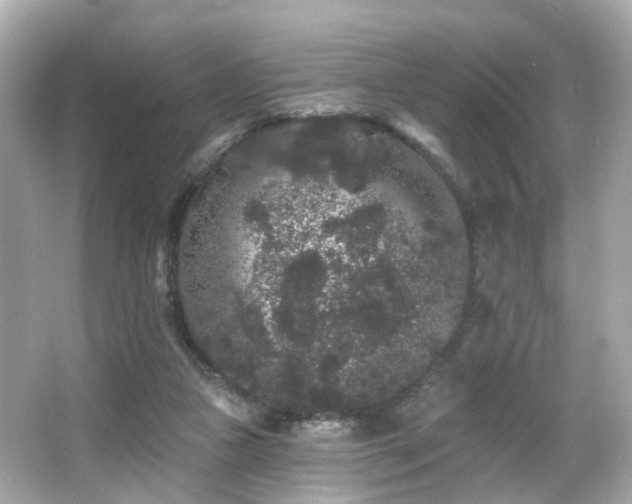 X0000066090161200603101215