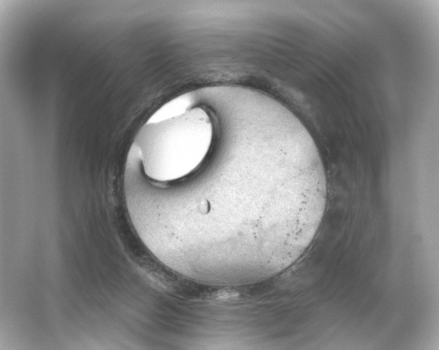 X0000066090162200603101215