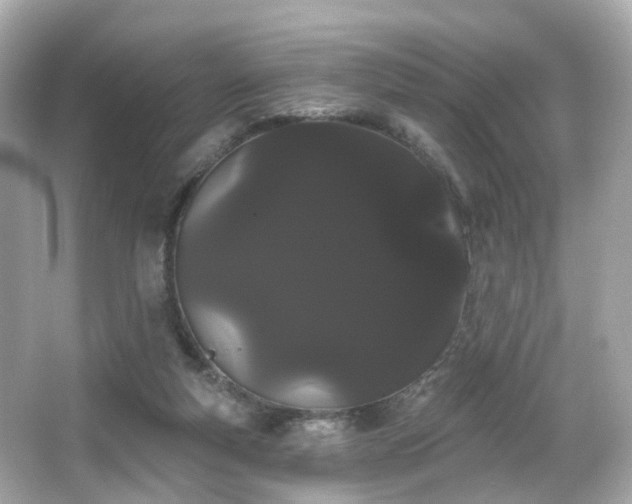 X0000066090163200603101215