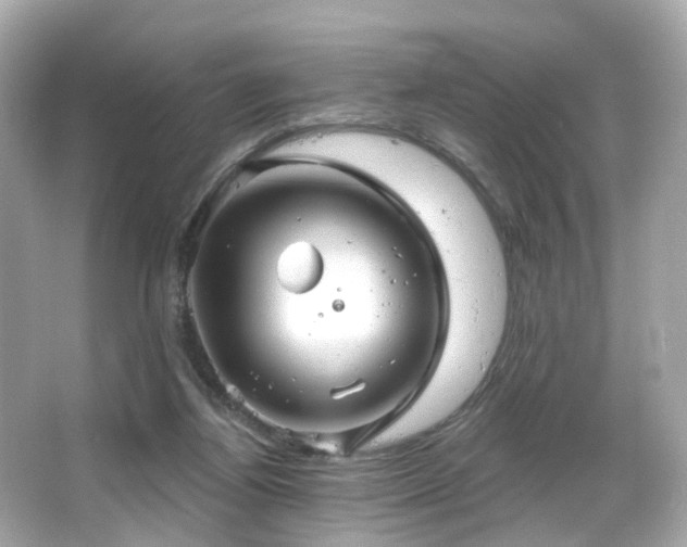 X0000066090164200603101215