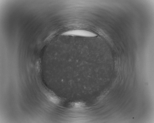 X0000066090165200603101215