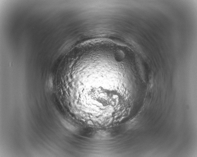 X0000066090166200603101215