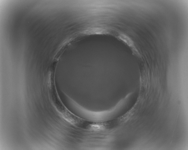 X0000066090167200603101215