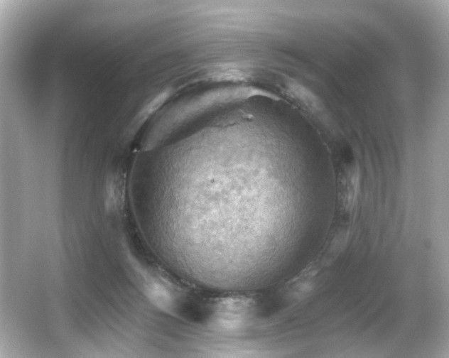 X0000066090168200603101215