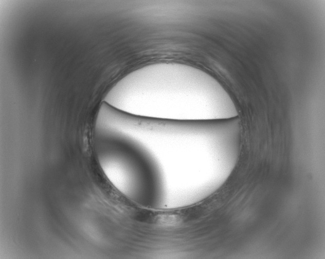 X0000066090169200603101215