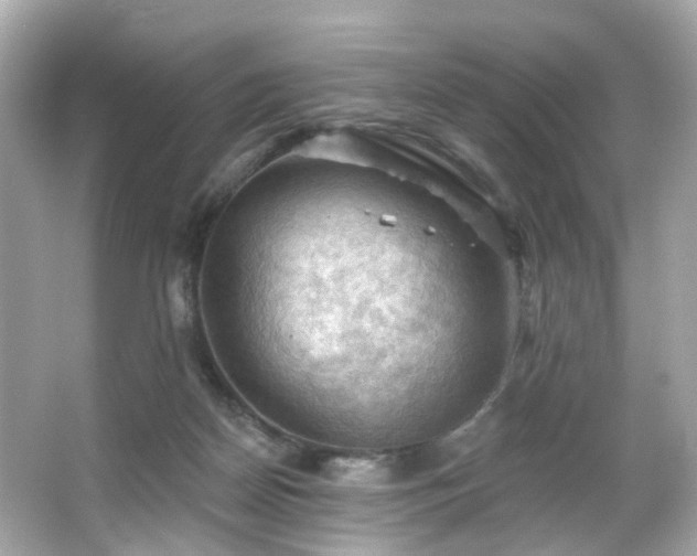 X0000066090170200603101215