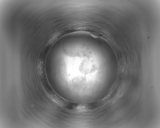 X0000066090171200603101215