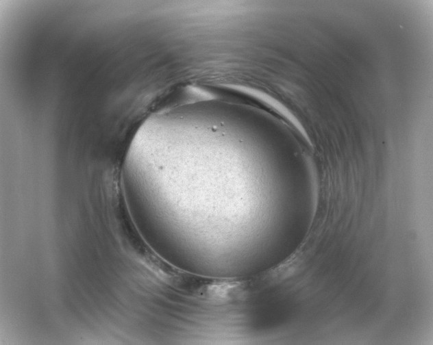 X0000066090172200603101215