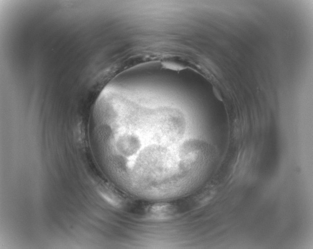 X0000066090173200603101215