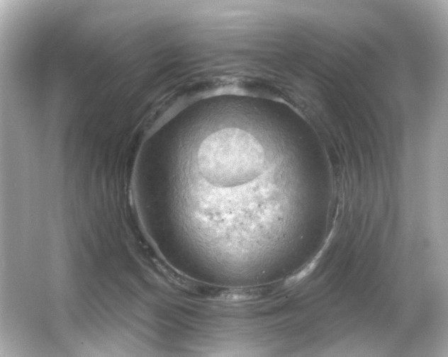 X0000066090174200603101215