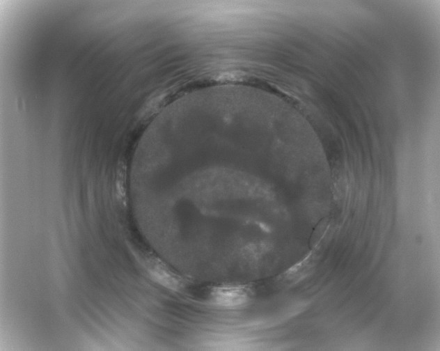 X0000066090175200603101215