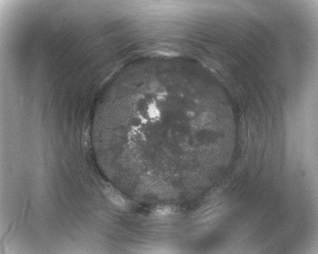 X0000066090177200603101215