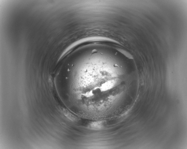 X0000066090178200603101215