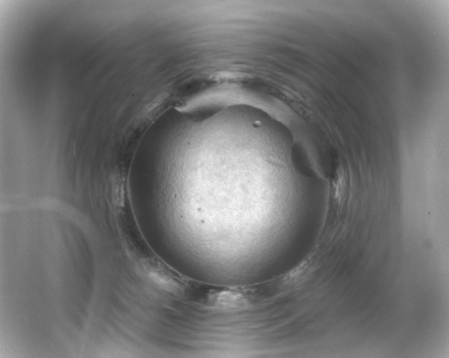 X0000066090180200603101215