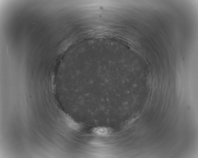 X0000066090181200603101215