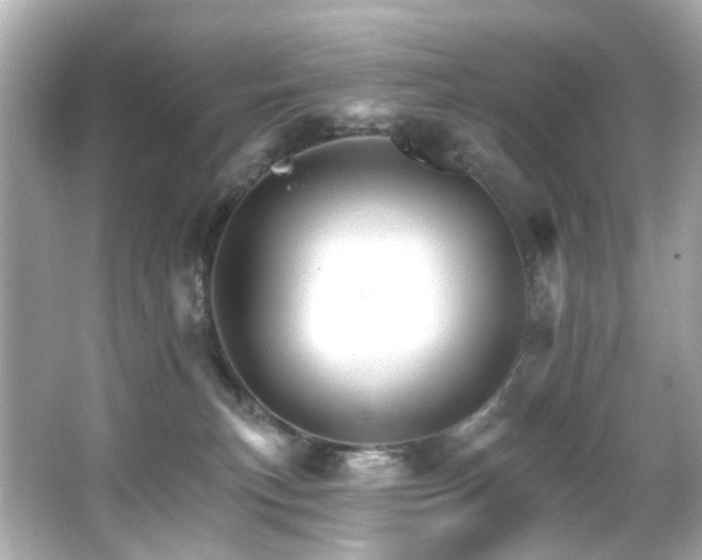 X0000066090183200603101215