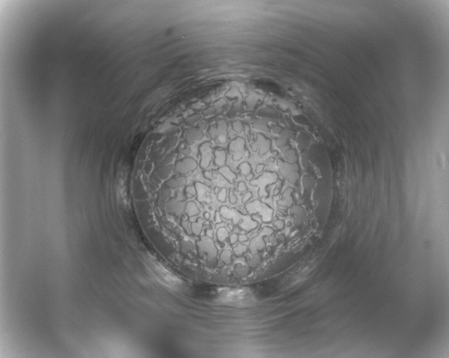 X0000066090185200603101215