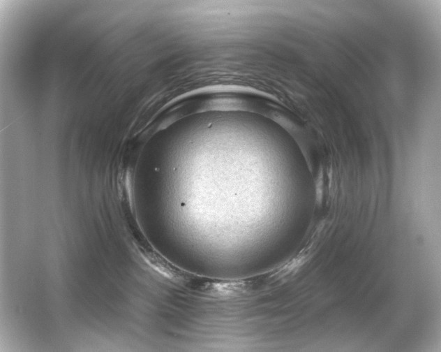 X0000066090188200603101215