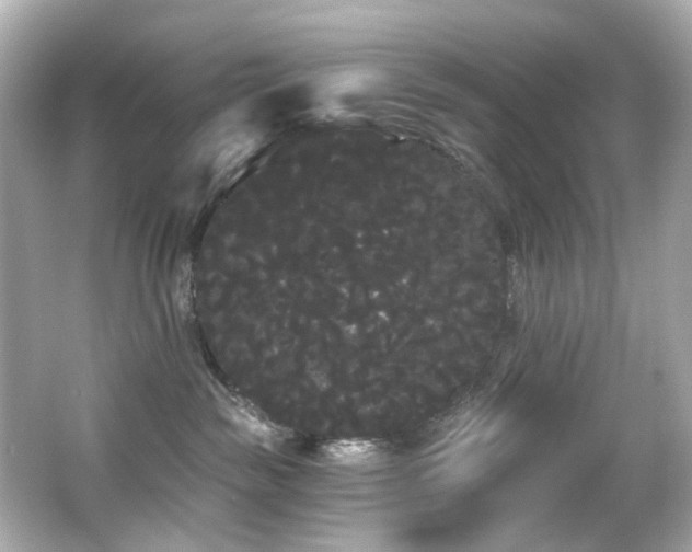 X0000066090189200603101215