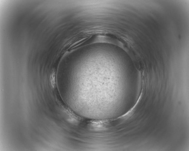 X0000066090190200603101215