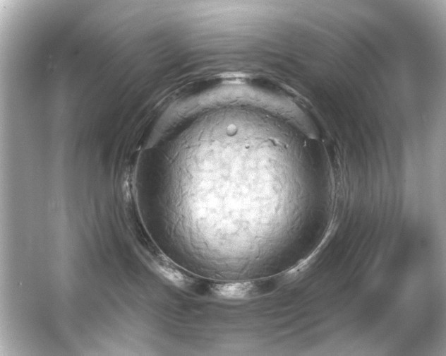 X0000066090191200603101216