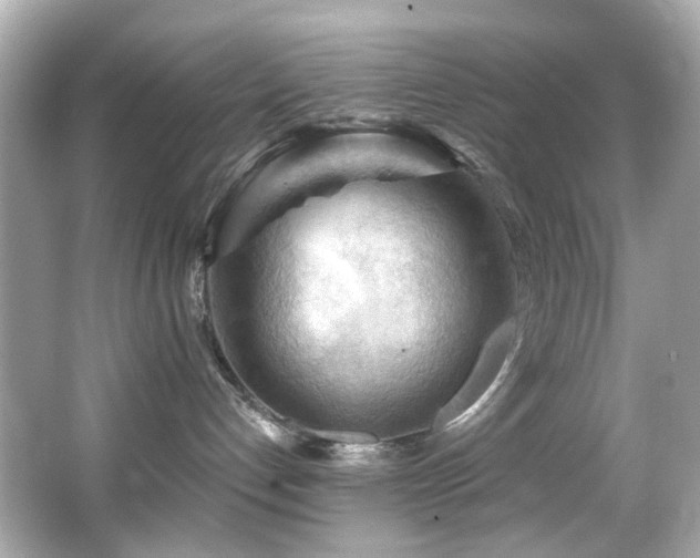 X0000066090192200603101216