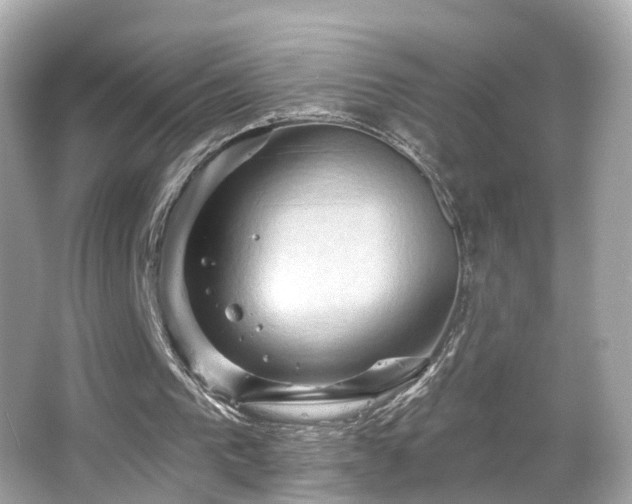 X0000066090193200603101215