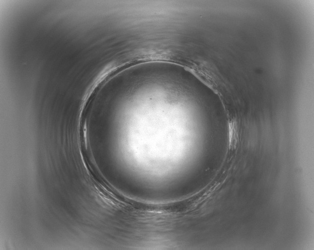 X0000066090195200603101215