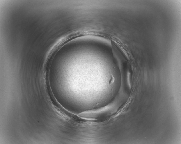 X0000066090197200603101215