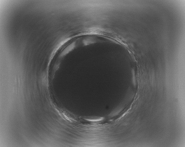 X0000066090200200603101215