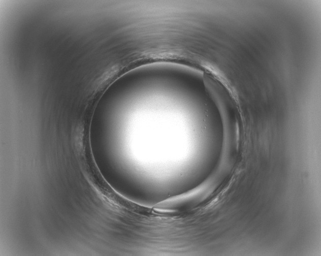 X0000066090201200603101215