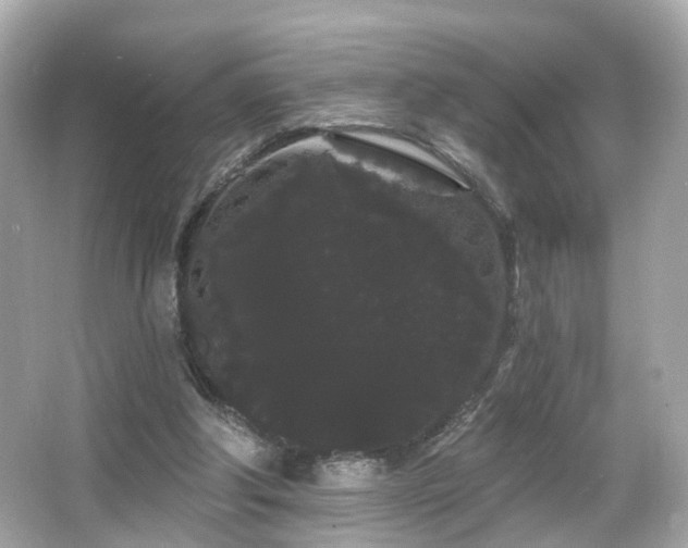 X0000066090202200603101215